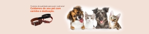 Banner promocional